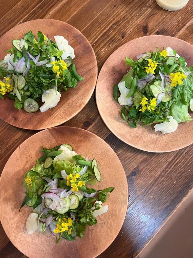 山中湖村 Vegetarian House Jamoo酒店 外观 照片